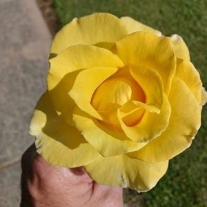 Meet your Posher, Terry